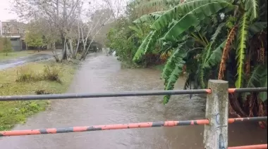 Vecinos alertas: ¿Cuáles son los 13 pedidos de Gorina al Municipio?