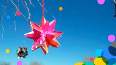 📅 Agosto en el Parque Ecológico Municipal: Guía completa con días y horarios de todas las actividades