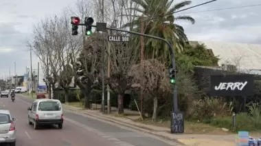 Gonnet: Robo, corridas y un ladrón atrapado en Camino Parque Centenario