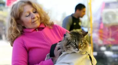Villa Elisa y Arturo Seguí: Días y horarios para vacunación veterinaria gratuita