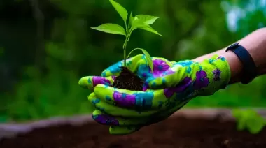 Parque Ecológico Municipal: ¿Cuándo se realizará el 10° Encuentro de Intercambio de Semillas?