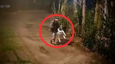 Video: Así saltan paredones para robar en un reconocido barrio de la Zona Norte platense
