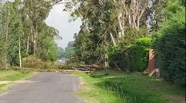 Pasó otra tormenta y la luz se volvió a cortar en City Bell, Gonnet y Gorina ¿Qué dice EDELAP?
