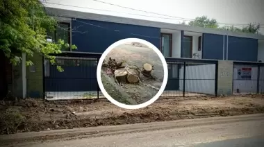 Depredación de árboles en City Bell: Se realizó una contravención tras denuncia publicada en NexoNorte