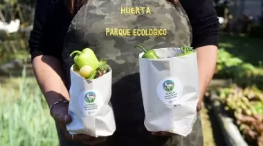 Viví febrero en el Parque Ecológico Municipal con 9 actividades gratuitas