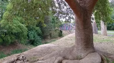 Gonnet: Piden poner en valor histórica plaza ubicada en un Área Ecológica Protegida