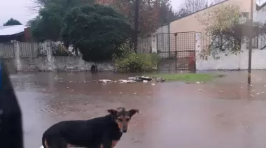 La Plata en alerta naranja por tormentas: fuertísimas precipitaciones generan problemas en la región