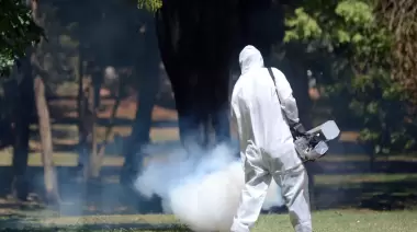 🦟 Jueves 18: Avanza el plan de fumigación en City Bell, Gonnet, Villa Elisa, Arturo Seguí y Hernández