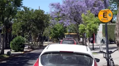 🚘 City Bell: ¿Cómo funcionará el Estacionamiento Medido durante los feriados de carnaval?