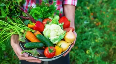 💰 Vuelve la Feria Verde a Villa Elisa con súper ofertas de productores locales