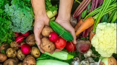 💰 Feria Verde y Huerta Comunitaria en Villa Elisa: 1 kilo de morrón por $1500