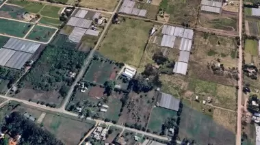 🐰 ¿Qué club de City Bell festeja 46 años con su tradicional conejeada?