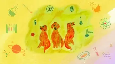 ⚛️ Experimentos para niños en City Bell: Llega "Rosita disfruta de la ciencia"