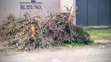 🌳 Poda acumulada en barrio de City Bell al que le sacaron su delegación