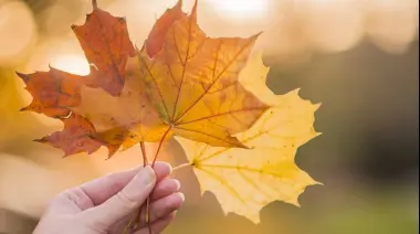 🍂 City Bell recibe el otoño con talleres y emprendedores en su huerta agroecológica