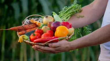 City Bell: Conocé la Huerta Comunitaria y el "Proyecto Savia"