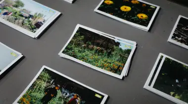 💚 Cine verde en Villa Elisa: 4 funciones especiales por el Día de la Pachamama