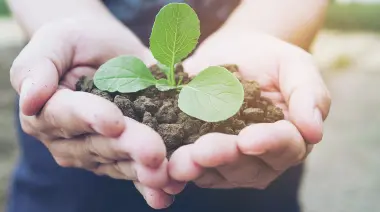 💚 Feria agroecológica, talleres y charlas en Villa Elisa con productores locales