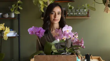 🌺 City Bell explota de color: Exposición de Orquídeas en Cantilo