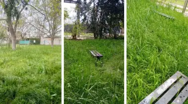 🔥 City Bell en llamas por un pulmón verde que podría transformarse en condominios
