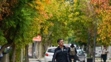 🚨 Alerta COUT en City Bell y Villa Elisa: Edificios más altos, más habitantes y menos verde