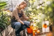Primavera Ecológica: Cosmética, Plantas, Salud y Fertilizante Natural