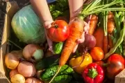 A 5 minutos de City Bell: Feria de alimentos agroecológicos a precios populares