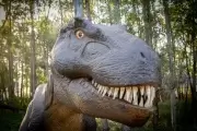 🦖 Dino Park en Gonnet: ¿Cuándo inaugura el espectacular parque temático?