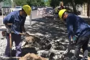 💦 ABSA informó que faltará agua en un sector de Villa Elisa por obras: ¿Cuándo y dónde?