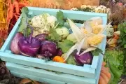 🥦 Feria de Verduras Orgánicas a precios populares en Villa Elisa: ¿Cuándo y dónde?