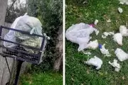 🚯 2 meses con basura: Piden respuestas a ESUR y a la Municipalidad de La Plata