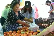 🍅 Música en vivo, foodtrucks y charlas: Llega la Fiesta del Tomate Platense a Gorina