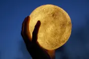 ✨ Nueva noche mágica en el Bosque de City Bell bajo la luna llena: ¿Te sumás?