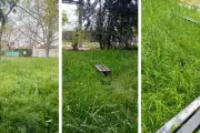 🔥 City Bell en llamas por un pulmón verde que podría transformarse en condominios