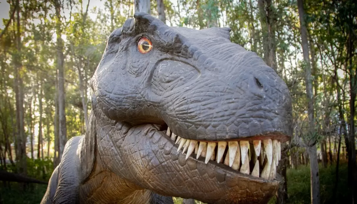 🦖 Dino Park en Gonnet: ¿Cuándo inaugura el espectacular parque temático? -  NexoNorte